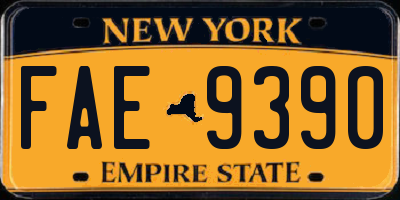 NY license plate FAE9390