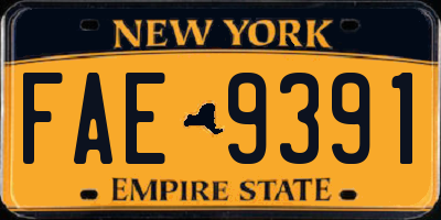 NY license plate FAE9391