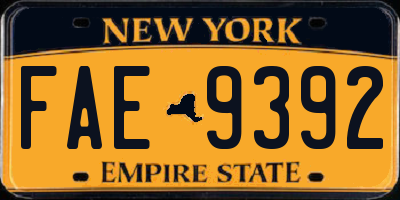 NY license plate FAE9392