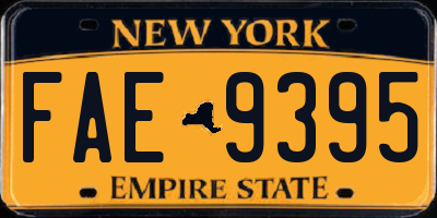 NY license plate FAE9395