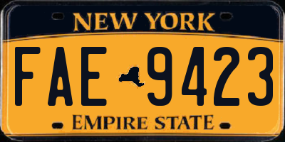 NY license plate FAE9423