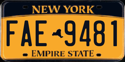 NY license plate FAE9481