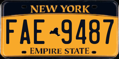 NY license plate FAE9487