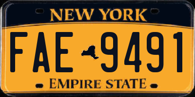 NY license plate FAE9491