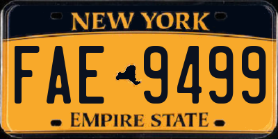 NY license plate FAE9499