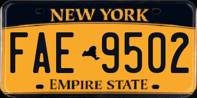 NY license plate FAE9502