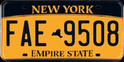 NY license plate FAE9508