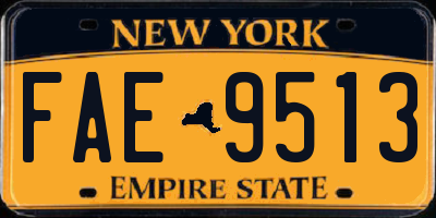 NY license plate FAE9513