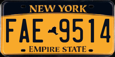 NY license plate FAE9514