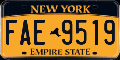 NY license plate FAE9519