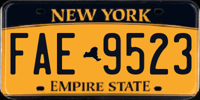 NY license plate FAE9523