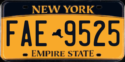 NY license plate FAE9525