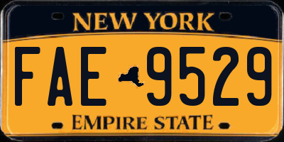 NY license plate FAE9529