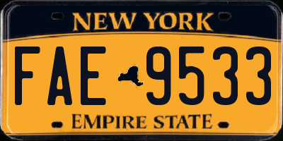 NY license plate FAE9533