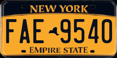 NY license plate FAE9540