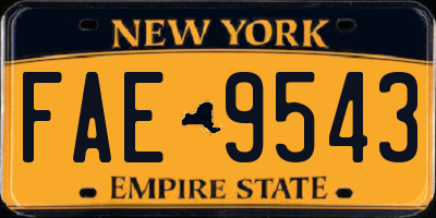 NY license plate FAE9543