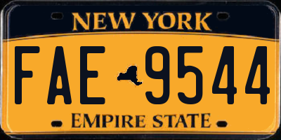 NY license plate FAE9544