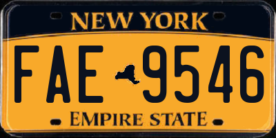 NY license plate FAE9546