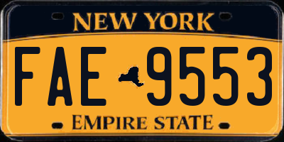 NY license plate FAE9553