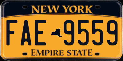 NY license plate FAE9559