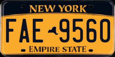 NY license plate FAE9560