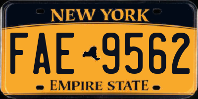 NY license plate FAE9562