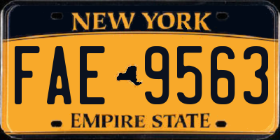 NY license plate FAE9563