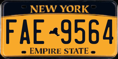 NY license plate FAE9564