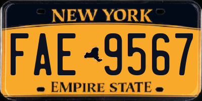 NY license plate FAE9567