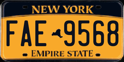 NY license plate FAE9568