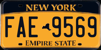 NY license plate FAE9569