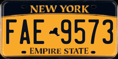 NY license plate FAE9573