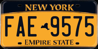 NY license plate FAE9575