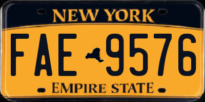 NY license plate FAE9576