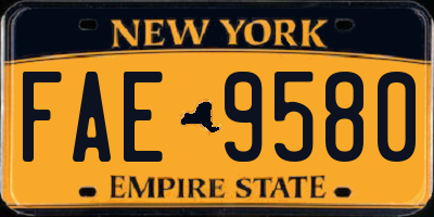 NY license plate FAE9580