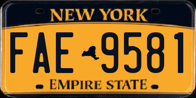 NY license plate FAE9581