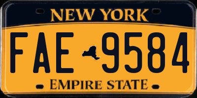 NY license plate FAE9584