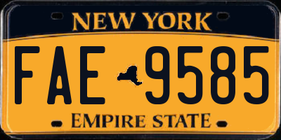 NY license plate FAE9585