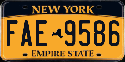 NY license plate FAE9586