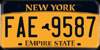 NY license plate FAE9587