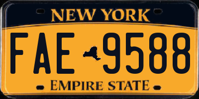 NY license plate FAE9588