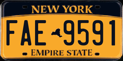 NY license plate FAE9591