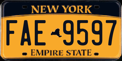 NY license plate FAE9597