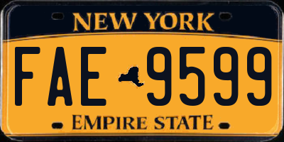 NY license plate FAE9599