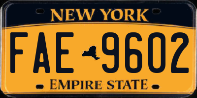 NY license plate FAE9602