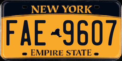 NY license plate FAE9607