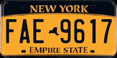 NY license plate FAE9617