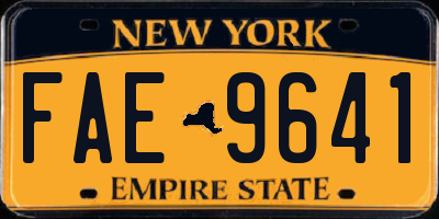 NY license plate FAE9641