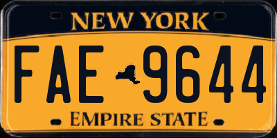 NY license plate FAE9644