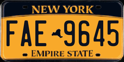 NY license plate FAE9645